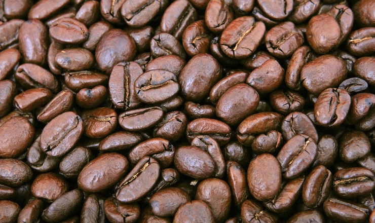 コーヒー豆の成分分析